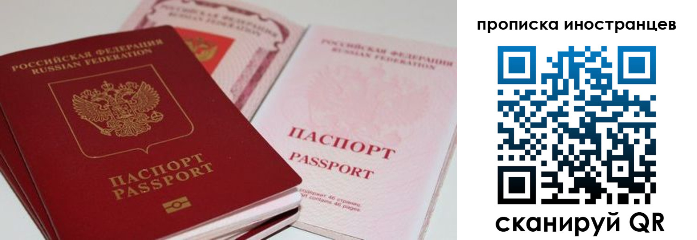 прописка поиск в Апатитах